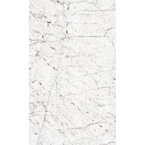 Papel De Parede African Queen 364347 Painel | Consultar disponibilidade do Produto |