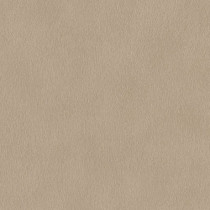 Papel De Parede African Queen 751055 | Consultar disponibilidade do Produto |