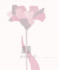 Papel De Parede Iris 6635-2 | Consultar disponibilidade do Produto |