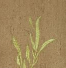 Papel De Parede Italiano LF-7501 | Consultar disponibilidade do Produto |