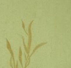 Papel De Parede Italiano LF-7504 | Consultar disponibilidade do Produto |